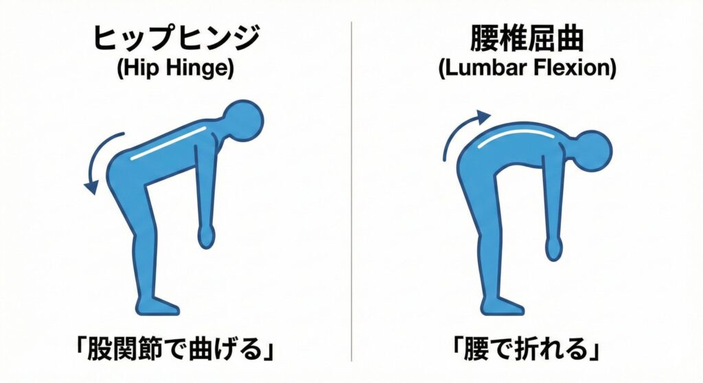 前かがみで腰が痛い原因と対策|股関節ヒンジと腰椎屈曲の違い