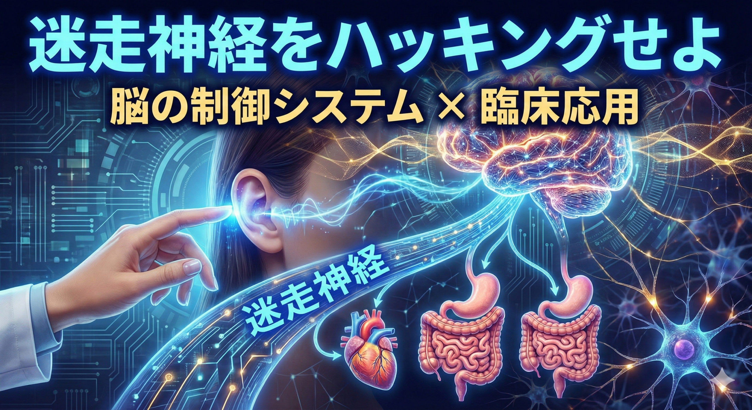 脳を制御センターに見立て、迷走神経が全身の臓器をコントロールするデータハイウェイとして描かれたコンセプトアート。治療家の手が耳から信号を送る様子を表現。
