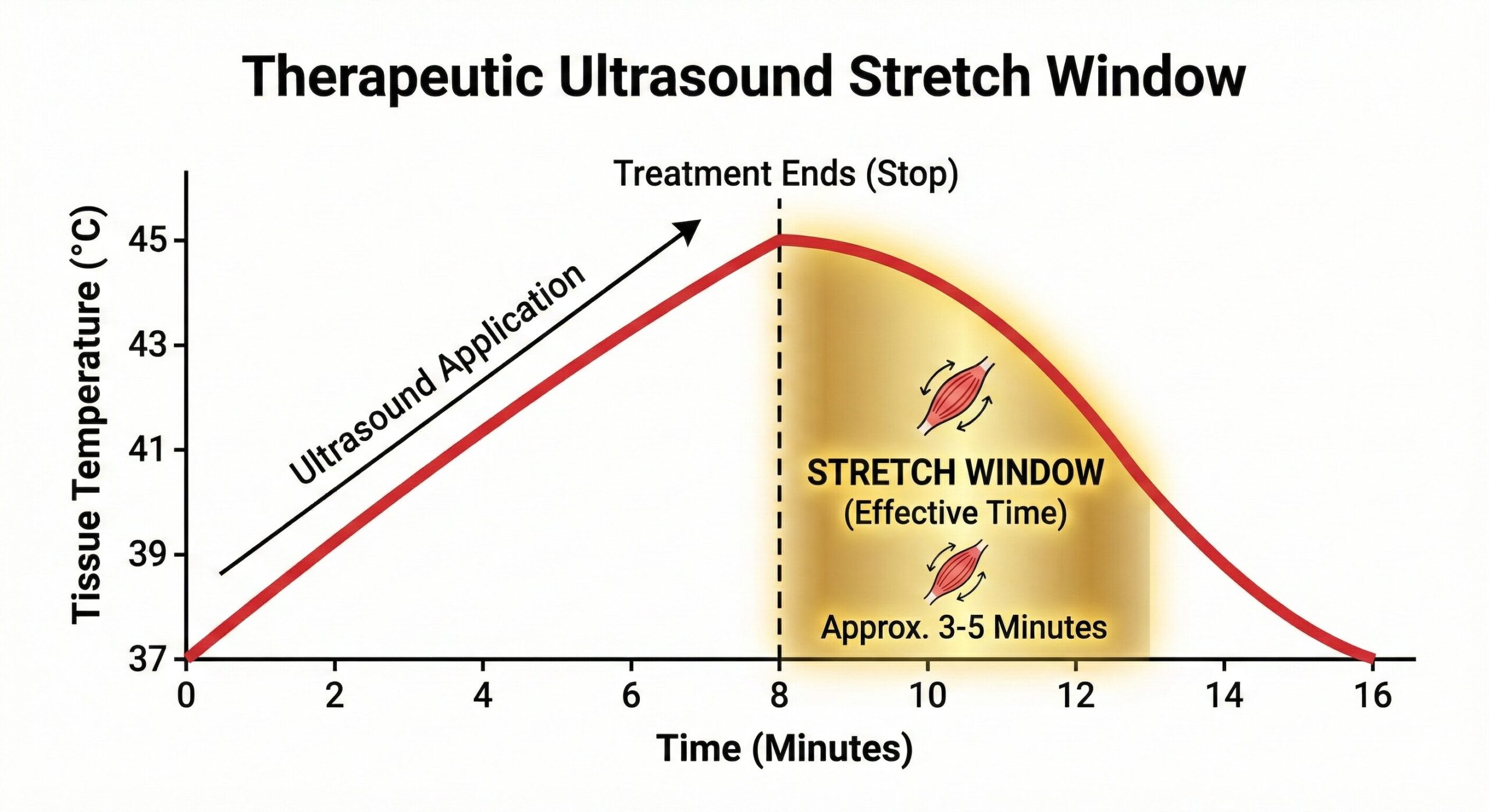 超音波温熱 照射後の組織温度変化と、拘縮改善に有効なストレッチウィンドウ（3分間）を示したグラフ。