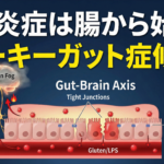 腸のバリア機能が壊れ（リーキーガット）、漏れ出した毒素が血管を通じて脳に到達し、脳内炎症（ブレインフォグ）を引き起こしている様子を描いた医学的イラスト。